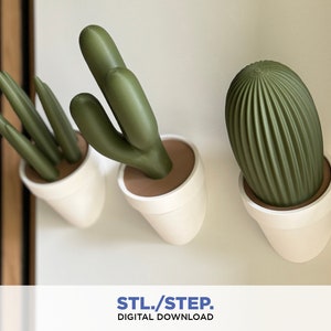 Puede incluir: Tres plantas de cactus impresas en 3D en macetas blancas con bordes marrones. Los cactus son verdes y tienen diferentes formas y texturas. Las macetas están montadas en una pared blanca.