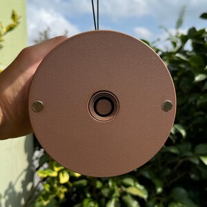 May include: A round, bronze-colored object with a central hole and two small, silver-colored circular attachments. The object is held against a backdrop of green foliage and a partly cloudy sky.