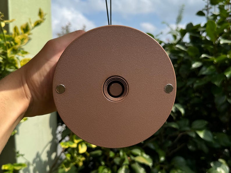 May include: A round, bronze-colored object with a central hole and two small, silver-colored circular attachments. The object is held against a backdrop of green foliage and a partly cloudy sky.