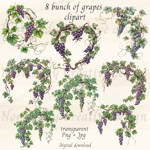 Peut inclure: Huit illustrations à l'aquarelle de vignes avec des grappes de raisins violets. Les vignes sont disposées en différentes formes, notamment un cœur, un cercle et un tourbillon. Les illustrations sont parfaites pour ajouter une touche de nature à vos créations.