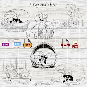 Dog and Cat Svg, 6 cute Dog and Cat Svg Eps Dxf Png and Jpeg, Kitten SVG, cat svg, pet svg, animal funny, vector sets, digital bundle