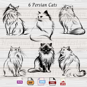 Cat SVG, 6 Persian cat Svg Eps Dxf Png and Jpeg, Cat lover svg, Kitten vector files for cricut, Pet cat svg, Animal Clipart, cute cats Png