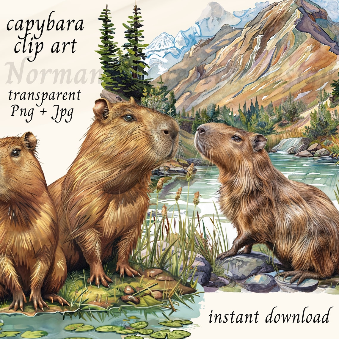 Capybara in Png Format, Capybara Clipart Set, Digital Files for Instant ...