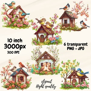 Spring house clipart, house and bird couple celebrating spring PNG and JPG, PNG transparent background, instant download