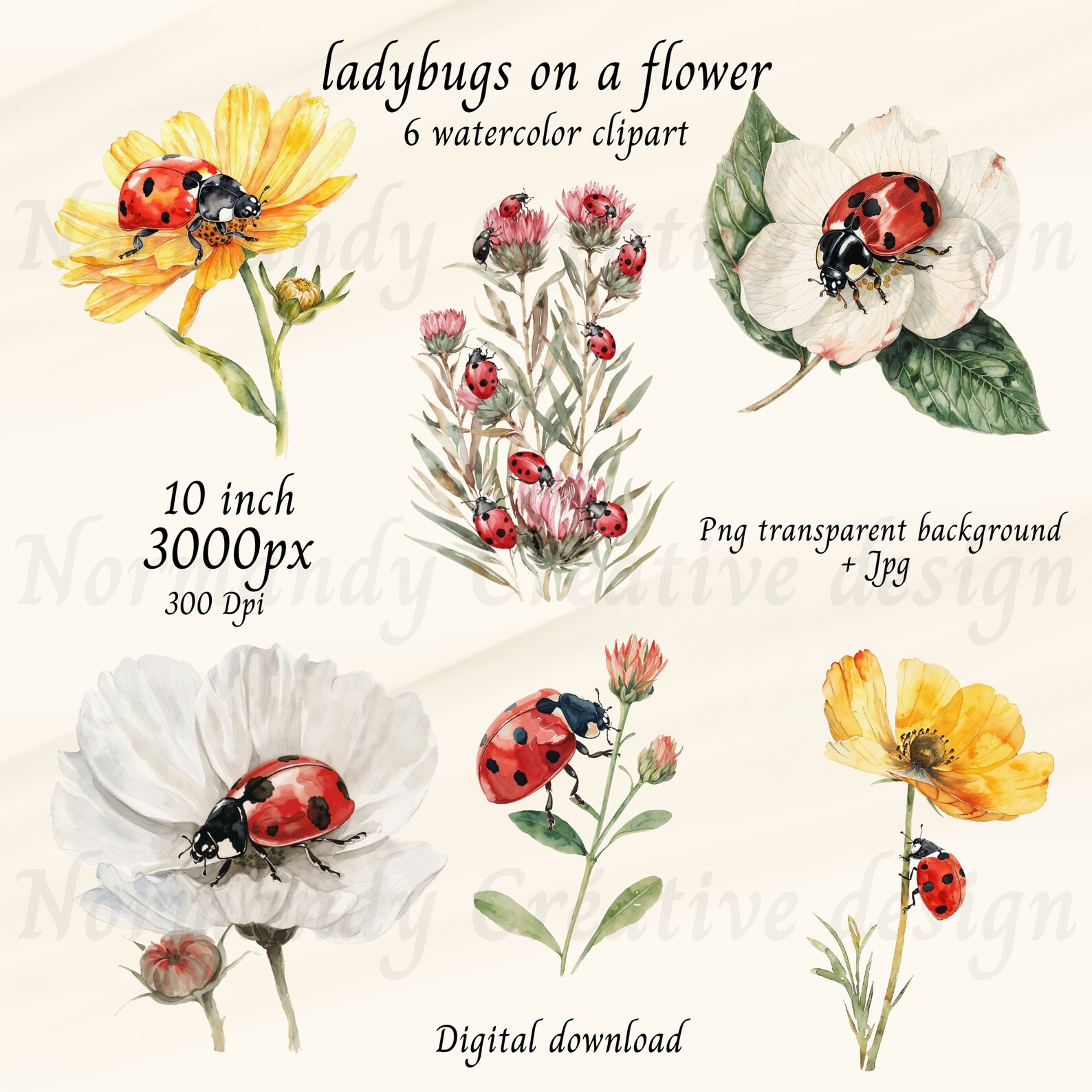 Watercolor Ladybug Clipart Bundle, 6 Ladybugs Clipart Png an Jpg ...