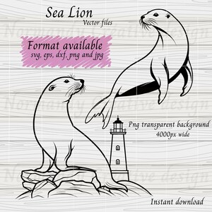 Sea lion Svg, California Sea lion svg, 6 Sea lion vector Svg Eps Dxf and Png Jpeg, sea animal svg, cute animals svg digital download image 2