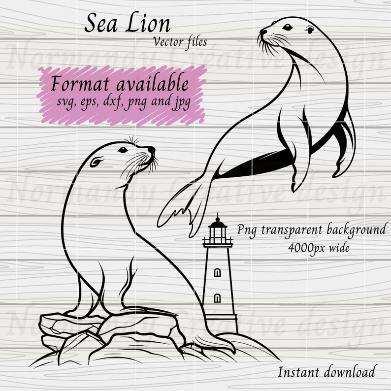 Sea lion Svg, California Sea lion svg, 6 Sea lion vector Svg Eps Dxf and Png Jpeg, sea animal svg, cute animals svg digital download image 2