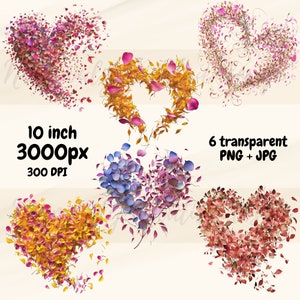 Floral Heart Clipart, petals heart clipart, PNG transparent,  illustrations digital illustrations PNG and JPG instant download
