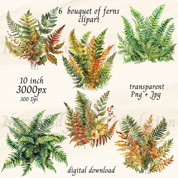 Watercolor Ferns Clipart, Forest Leaves Png transparent background and Jpg, Holly Fern, Forest Ferns Clipart, Greenery clipart