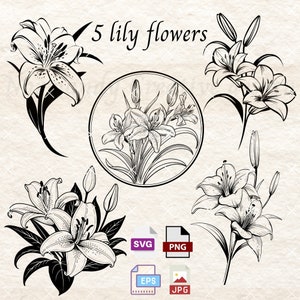 Lilienblumen SVG, Lilien SVG, Blumenstrauß SVG eps png und jpg, florales SVG, Lilienblumen Clipart, Osterlilie SVG, direkter Download