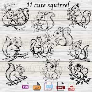 リス svg、10 のかわいい赤ちゃんリス SVG EPS DXF Png および Jpg、リス カット ファイル、クリカット用 svg ファイル、商用利用、デジタル ダウンロード