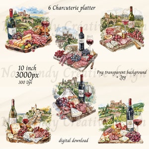 Watercolor Wine and cheese clipart, 8 Watercolor charcuterie board Png and Jpeg, charcuterie board, Watercolor Brunch Clipart Set, food Png