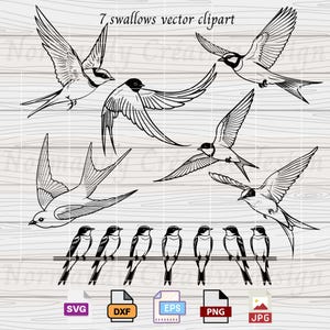 Swallows SVG, 7 Flying Swallows Svg Eps Dxf Png and Jpeg, Birds svg, Birds SVG swallow vector files,  Bird Outline SVG, Flying bird svg