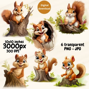 Clipart de esquilo adorável em diferentes posturas, esquilo encantador em PNG, ótimo para ilustrar objetos, download instantâneo de arquivo digital