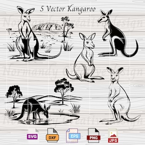 Känguru SVG, 5 Kängurus SVG Eps Dxf Png und Jpeg, SVG Känguru Bundle, Australische Tiere SVG und PNG, Aussie SVG, Tiere Wildtier SVG,
