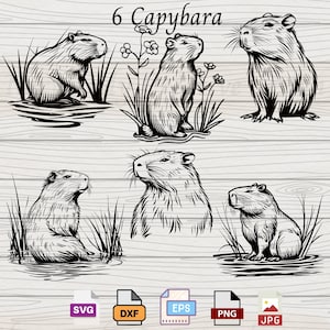 Capybara Svg, cute capybara svg, dxf, eps, ai, png and jpg, Capybara svg laser cut file, woodland decor, svg file for cricut
