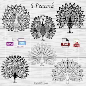 Peacock SVG, 6 Bird Svg Eps Png and Jpeg, peacock feather SVG, peacock clipart, cute peacock Png, Animals Svg, peacocks Svg, Svg files
