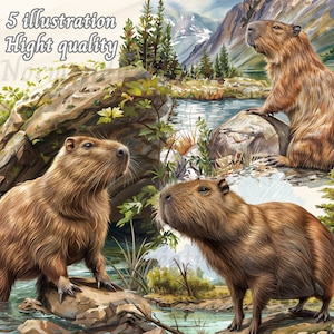 Capybara in Png Format, Capybara Clipart Set, Digital Files for Instant ...