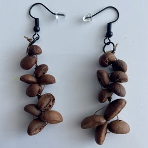 Handmade earrings real coffee beans!