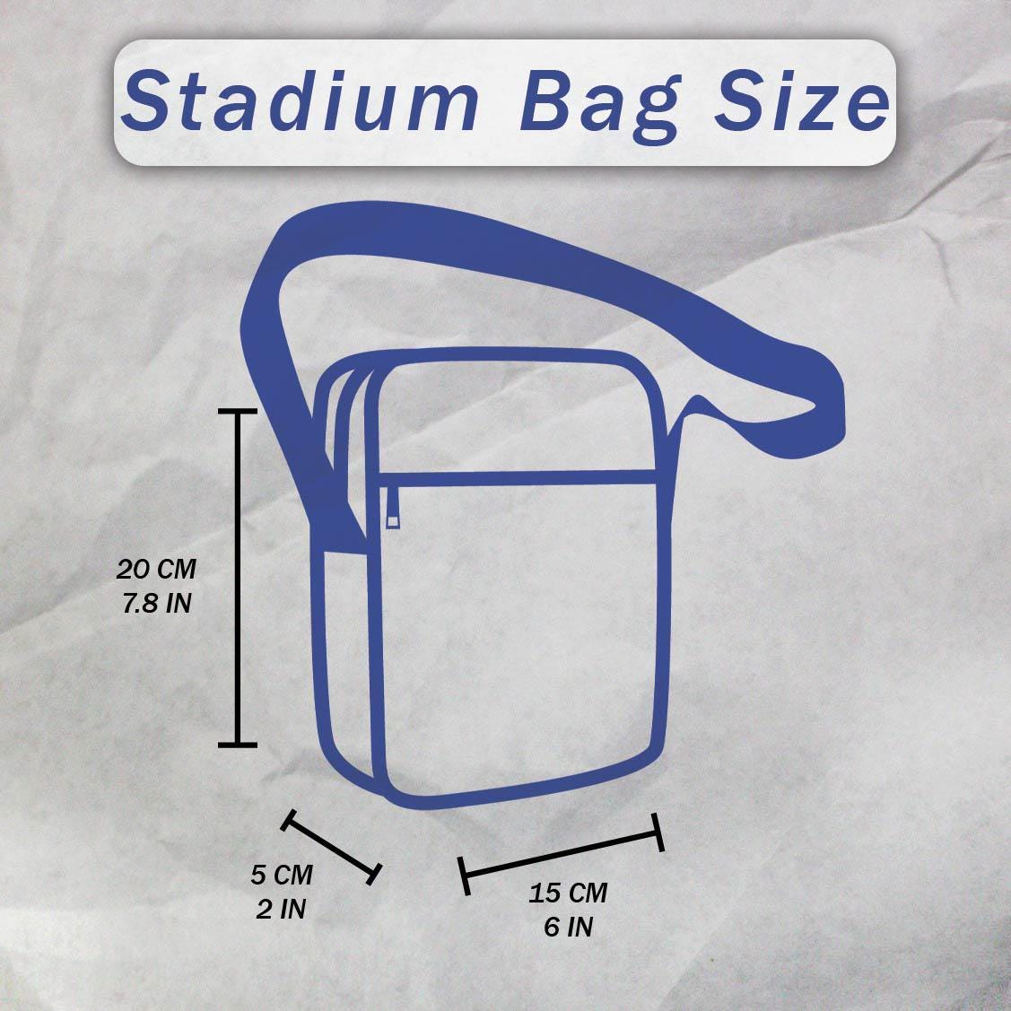 Stray Kids Dominate Tour Stadium Bag, Stray Kids Clear Bag