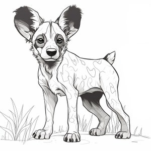 African Dog Coloring Page, African Dog, Coloring Page