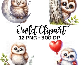 Akwarelowa sówka w formie clipartu – 12 obrazów PNG (pobranie cyfrowe)