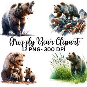 Bundle de cliparts aquarelle majestueux grizzly - usage commercial, PNG de haute qualité, 4096 x 4096 PX