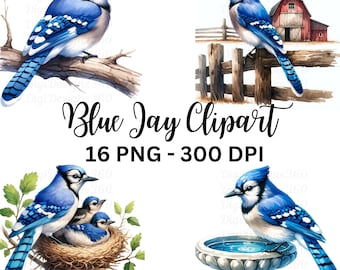 May include: A digital clipart set featuring blue jays in various poses. The set includes a blue jay perched on a branch, a blue jay perched on a fence, a blue jay in a nest with two baby blue jays, and a blue jay perched on a bird bath. The clipart is perfect for crafting projects, scrapbooking, and digital design.
