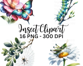 Clipart aquarel insecten – 16 levendige insectenafbeeldingen (PNG)