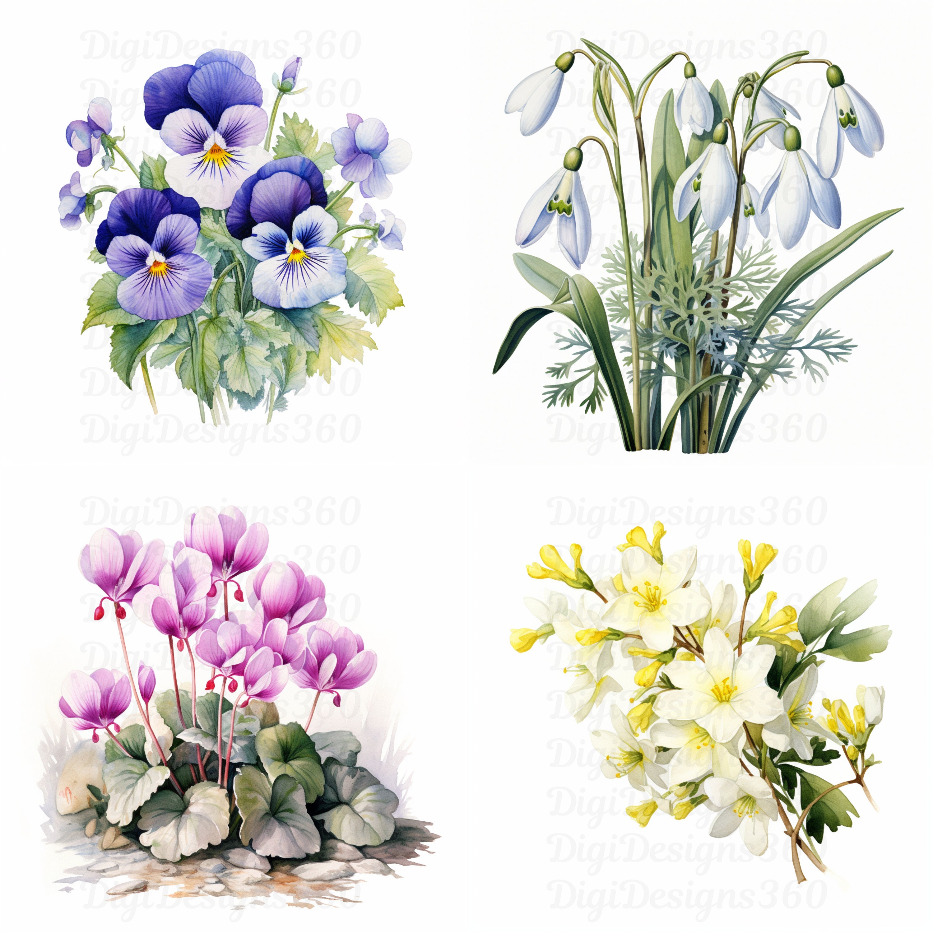 Winter Flowers Clipart Watercolor Floral Designs, Ideal for Wedding Invites & Seasonal Crafting ...