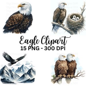 Adler Clipart - Beeindruckende Aquarell Grafik von Adler für DIY-Projekte, Scrapbooking & Drucke, einzigartiges Geschenk für Wildtier-Enthusiasten