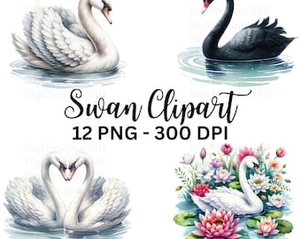 Watercolor Swan Clipart, DIY Graphics, Scrapbooking (12 PNG)