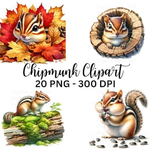 Charmantes Streifenhörnchen Clipart - Aquarell Grafiken, perfekt für DIY Einladungen und Scrapbooking, kommerzielle Nutzung