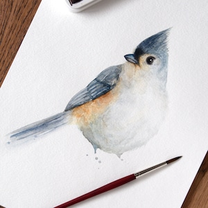 Tufted Titmouse Original watercolor painting Bird painting 9 x 12 inches