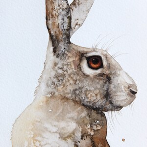 Rabbit Painting Original Watercolor Painting Hare Painting Wild Rabbit ...