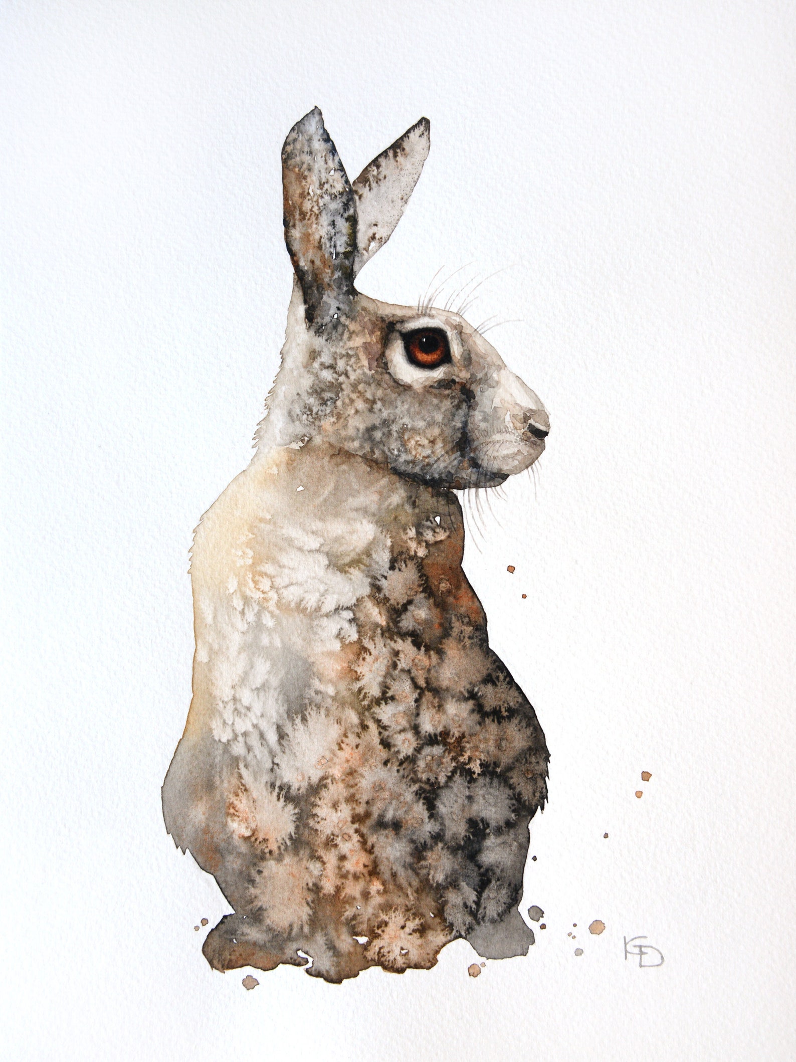 Rabbit Painting Original Watercolor Painting Hare Painting Wild Rabbit ...