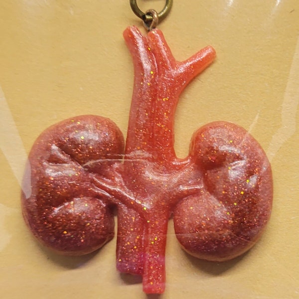 Anatomy Keychain (multiple organs)