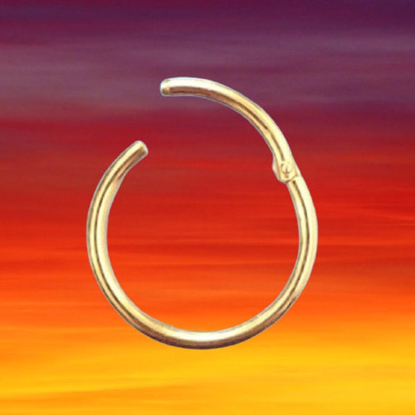 Clicker 6 mm I Real 585 / 14 ct yellow gold I Nose Lip Ear Intimate Piercing I Helix Conch Tragus I Segment Ring Hoop Horseshoe Creole I 46011-6