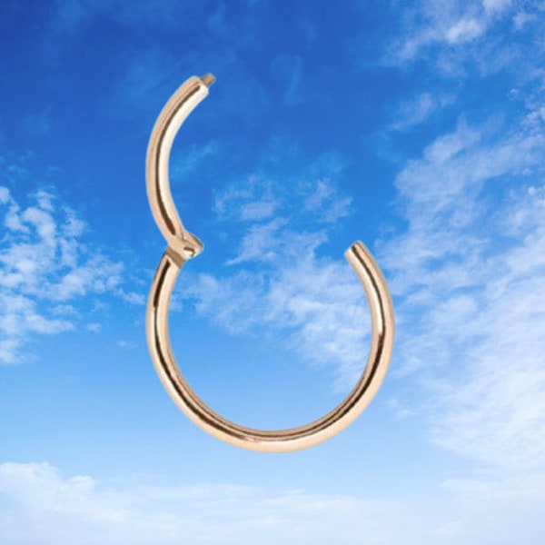 Clicker 10 mm I Or Rose Véritable 750 / 18 ct I Nez Lèvre Oreille Intime I Helix Daith Conque Tragus I Anneau Segment Créole Fer à Cheval Créole I 48001-10