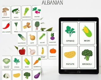 Vegetable flashcards in albanian digital download