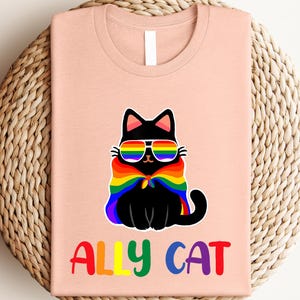 Pride Ally Cat Shirt, Retro Rainbow Colors Cat Ally Shirt, Cat Pride Shirt, Funny Pride Shirt, LGBTQ Shirt, LGBT Gifts, Love Is Love T-Shirt