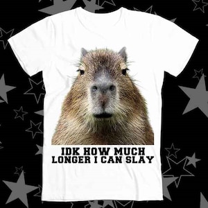 Idk How Much Longer Opossum I Can Slay Capybara Sarcastic Dank Best Seller Top Tee T Shirt 176
