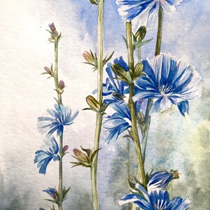 Set di fiori blu acquerello Set di arte da parete in 3 pezzi Set di fiori di campo dipinti ad acquerello Galleria d'arte da parete Arredamento country francese variant 1