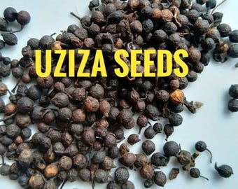 Dry Whole uziza seed. Original spice for Peppersoup & food cuisine