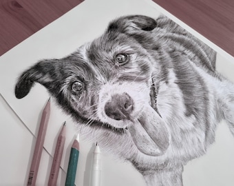 May include: A detailed graphite pencil drawing of a dog with floppy ears and a tongue hanging out, rendered in black and white on white paper. Four drawing pencils are positioned at the bottom left corner of the artwork, showing the artistic process.