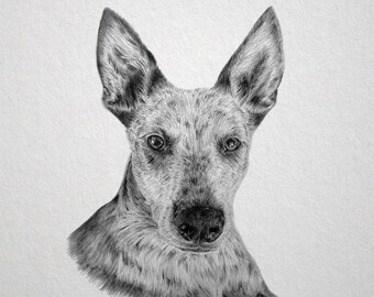 Personalised Pet Portrait with Pencil, Drawing from Photo, Hand Drawn Framed, Pet Memorial Keepsake / Unique Gift