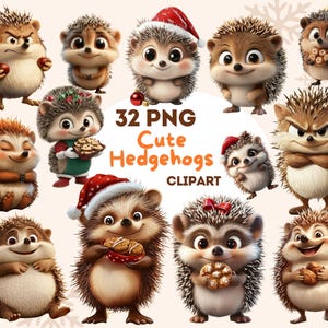 Lindos erizos Clipart, 32 archivos PNG, ilustración de alta calidad, diseños de sublimación, fondo transparente, tema navideño, uso comercial, -223