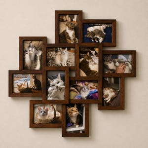 May include: A multi-photo collage frame with ten individual openings. Each opening contains a photograph of a cat. The frames are made of dark brown wood and are arranged in a unique, overlapping design. The cats are in various poses.