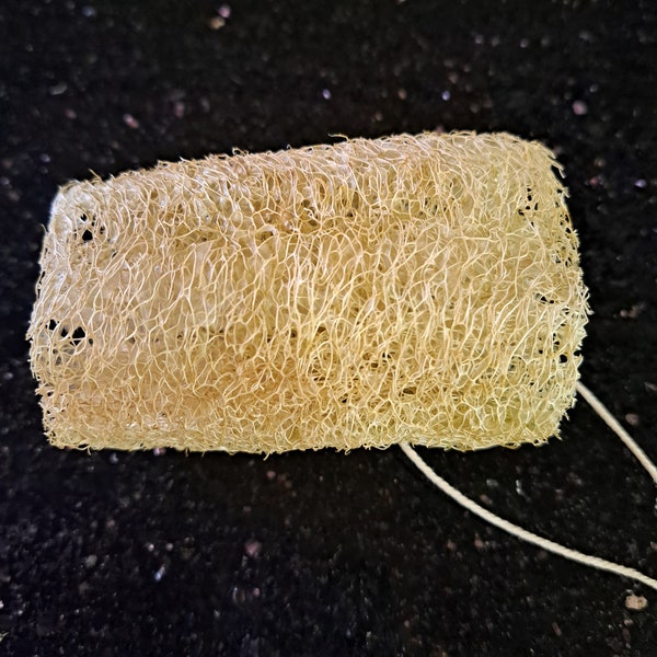 Loofah Sponge