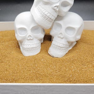 Skulls